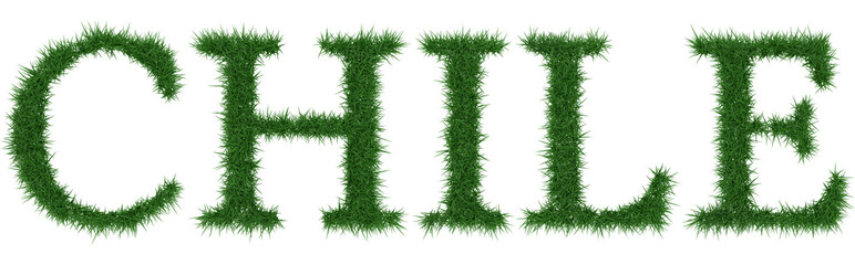 Chile - 3D rendering fresh Grass letters isolated on whhite background.