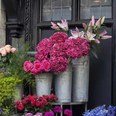 the Pink, purple roses and hydrangeas, as well as pale white lilies for sale at the entrance to the flower shop