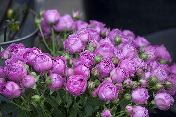 the Bouquet of purple flower buds for wedding celebrations