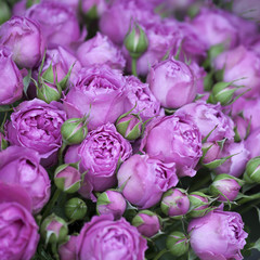 the Bouquet of purple flower buds for wedding celebrations
