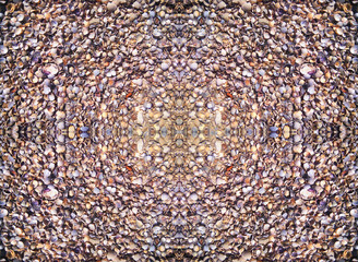 Colorful sea shells. Abstract background.                               