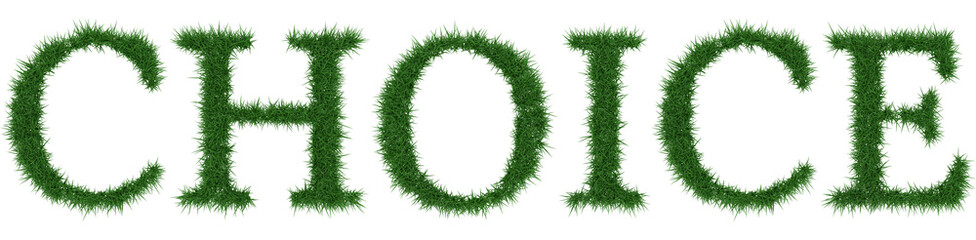 Choice - 3D rendering fresh Grass letters isolated on whhite background.