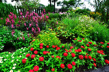 久住高原のイングリッシュ・ガーデン