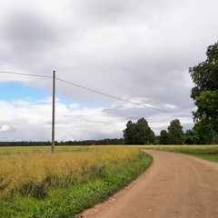 Fototapeta na wymiar Countryside dirt road in Estonia