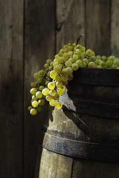 Grape