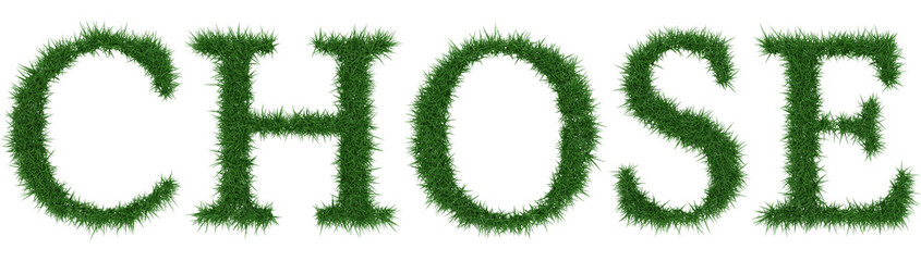 Chose - 3D rendering fresh Grass letters isolated on whhite background.