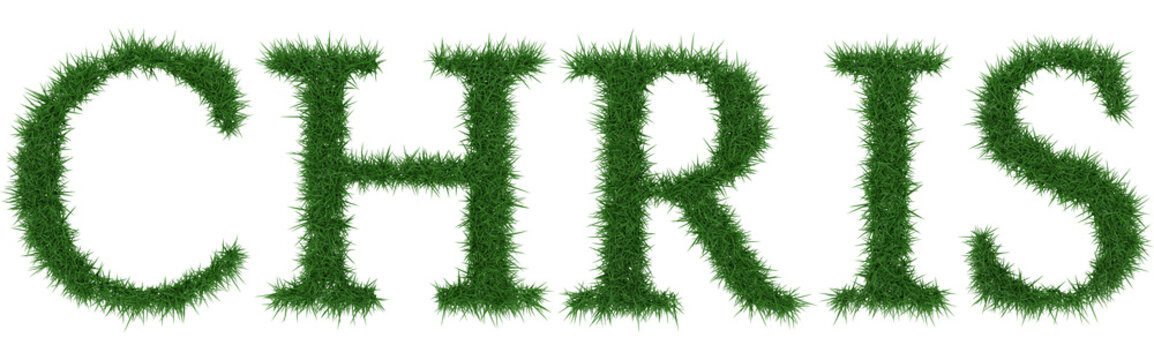 Chris - 3D rendering fresh Grass letters isolated on whhite background.