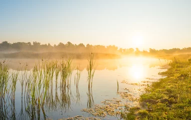 Foto op Plexiglas Shore of a misty lake at sunrise in summer © Naj