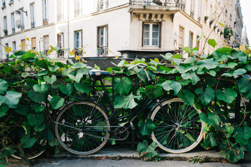 Fototapeta na wymiar Black bike with leaves on railing in France