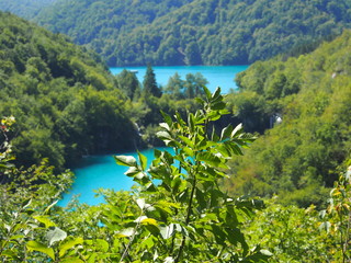 Fototapeta na wymiar Kroatien: Nationalpark Plitvicer Seen