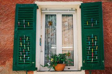 Fototapeta na wymiar Green shutters and plant on windowsill in France