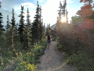 Fototapeta premium Walking barefoot among the trees on Sourdough Ridge Trail Rainier National Park