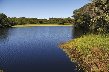 Lagoa feia (Parque Estadual Paulo Cesar Vinha) | Ugly lagoon fotografado em Guarapari, Espírito Santo -  Sudeste do Brasil. Bioma Mata Atlântica.