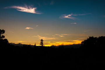 Cheeo Li's photography collection