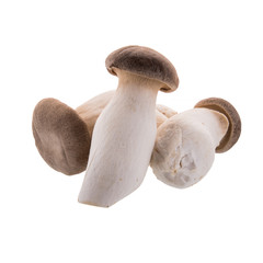 King Oyster mushroom (Eringi)