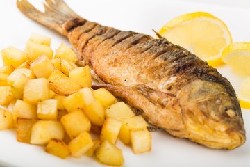 Fish.