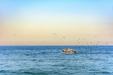 Old wooden fishing trawler sailing the sea with seagulls around