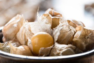 Ground Cherries in a Bowl