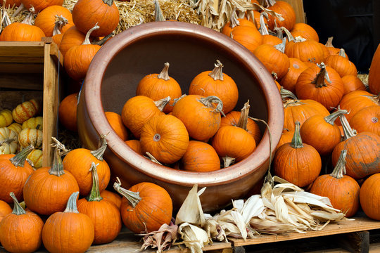 Pumpkin Display - Powered by Adobe