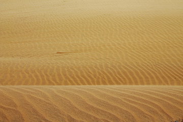 Desierto