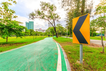 Walkway in park. Landscape with jogging track at green park