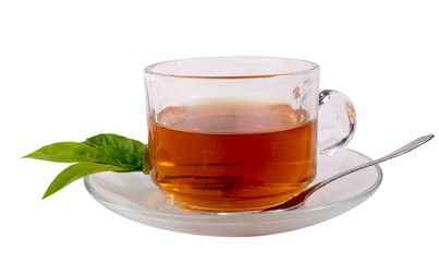 cup with tea and green leaf