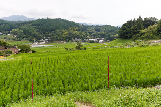 害獣よけの電気柵