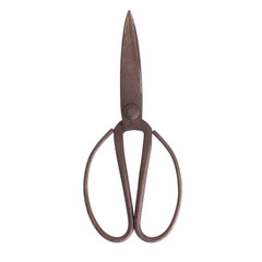 Old scissors on white background,Isolated steel scissors with rust