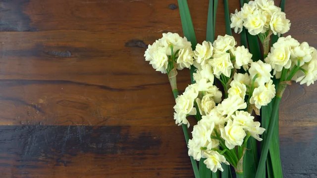 4k Spring overhead timelaspe with Springtime Erlicheer jonquil daffodils on a rustic wood table background.