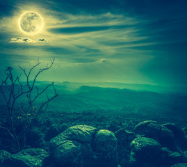 Fototapeta na wymiar Landscape of rock against blue sky and full moon above wilderness area. Cross process.