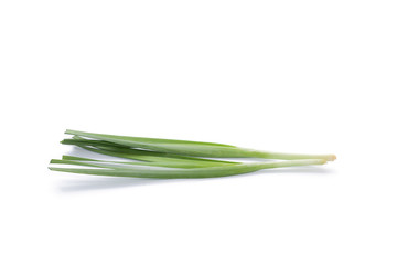 spring onion isolated on white background