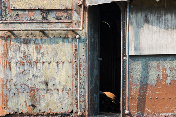 A Look Inside a Rusty Old Train Car