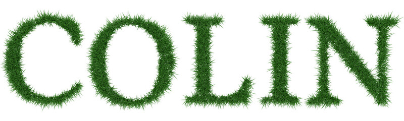 Colin - 3D rendering fresh Grass letters isolated on whhite background.