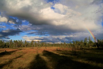 Fototapeta na wymiar dramatische Lichtstimmung mit Wolken und Regenbogen im Fulufjället Nationalpark, Dalarna, Schweden