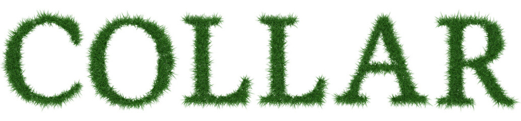 Collar - 3D rendering fresh Grass letters isolated on whhite background.