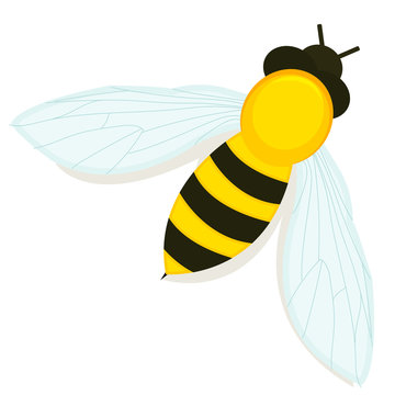 Bee icon isolated