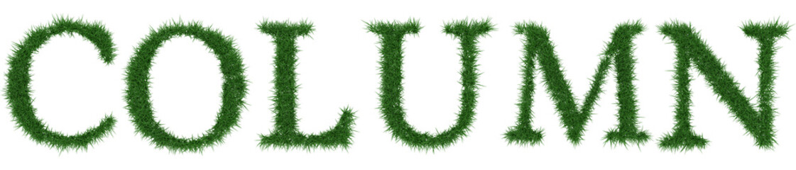 Column - 3D rendering fresh Grass letters isolated on whhite background.