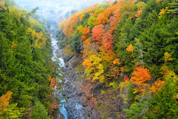 Obraz premium Stream passing through Quechee gorge in autumn time
