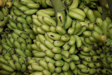 Bananen auf dem Markt