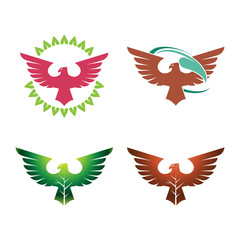 Fototapeta premium Eagle Hawk Nature Leaf Ecology Logo Symbol