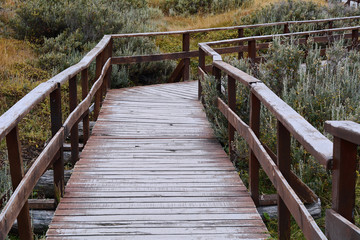 Obraz premium Wooden walkway in park.