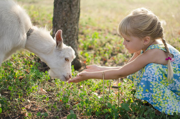 Little blond girl with goat on the pasture. Four year old lady with domestic animal on the fa