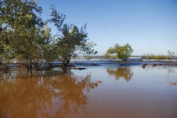 Praia de Manguinhos (Paisagem) | Manguinhos beach fotografado em Manguinhos, Espírito Santo -  Sudeste do Brasil. Bioma Mata Atlântica. 