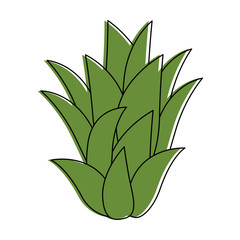 leaves icon over white backgorund vector illustration