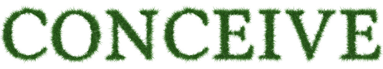 Fototapeta na wymiar Conceive - 3D rendering fresh Grass letters isolated on whhite background.