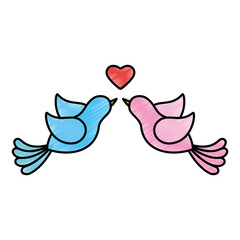Cute couple of birdies icon vector illustration graphic design