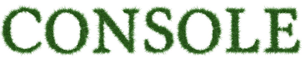 Console - 3D rendering fresh Grass letters isolated on whhite background.