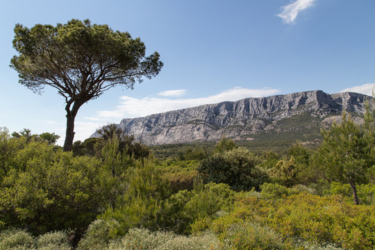 the mountain Sainte-Victoire, in Provence, which inspired the painter Paul Cezanne