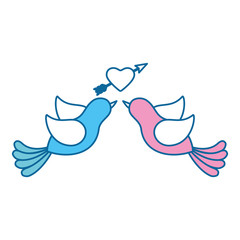 cute couple of doves with heart icon over white background vector illustration
