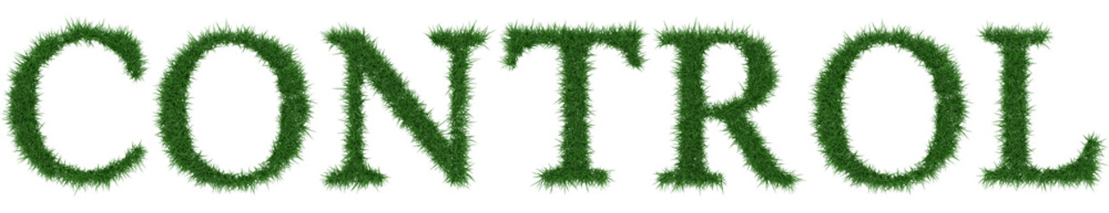 Control - 3D rendering fresh Grass letters isolated on whhite background.